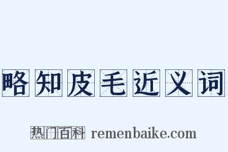 略知皮毛近义词是什么意思的图片